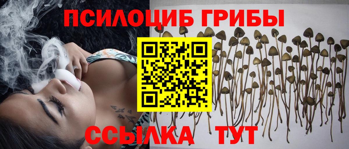 Галлюциногенные грибы прущие грибы  Галлюциногенные грибы MAGIC MUSHROOMS  Вход с VPN  Азов 